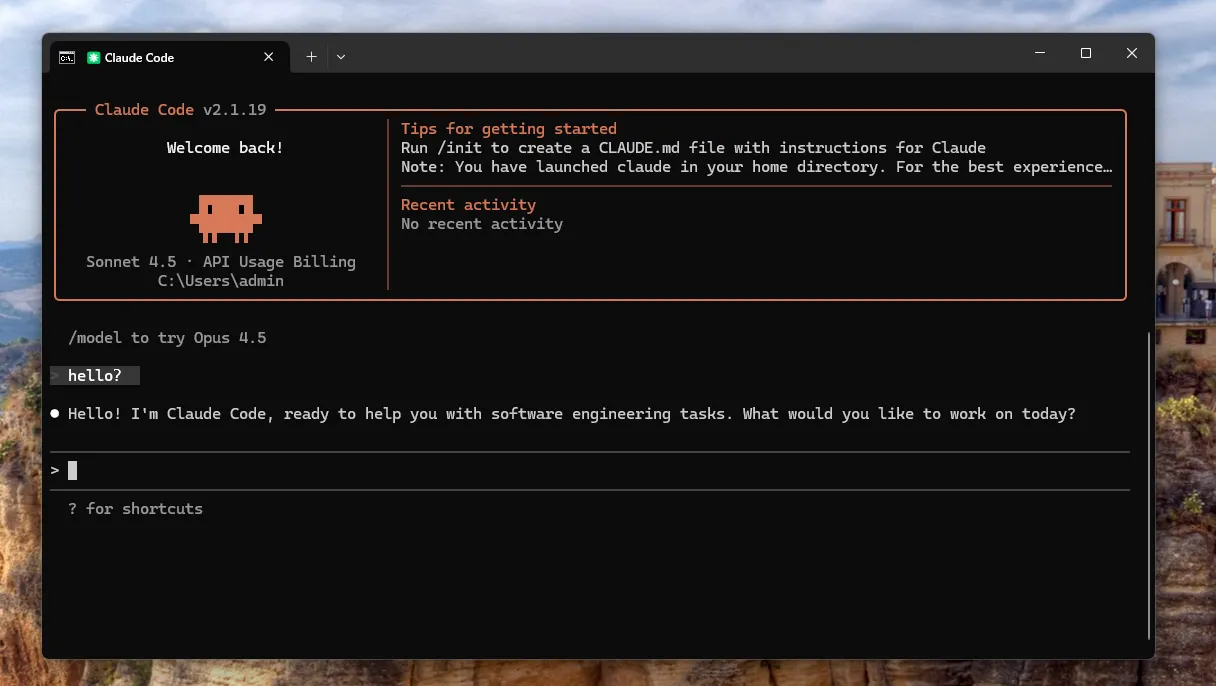 Claude Code launch example
