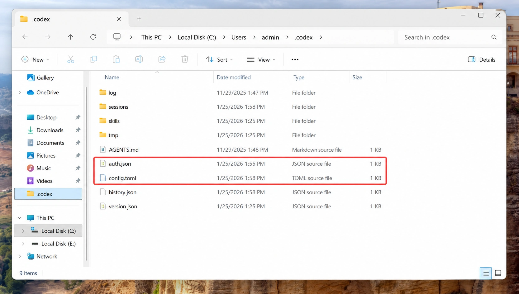 Codex configuration folder