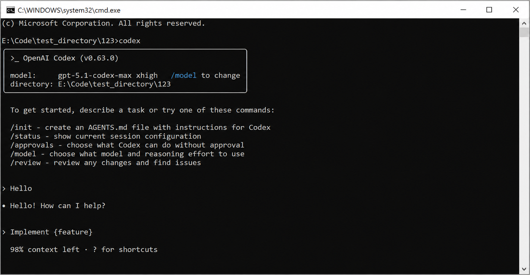 Codex terminal session after the FH Switch setup succeeds