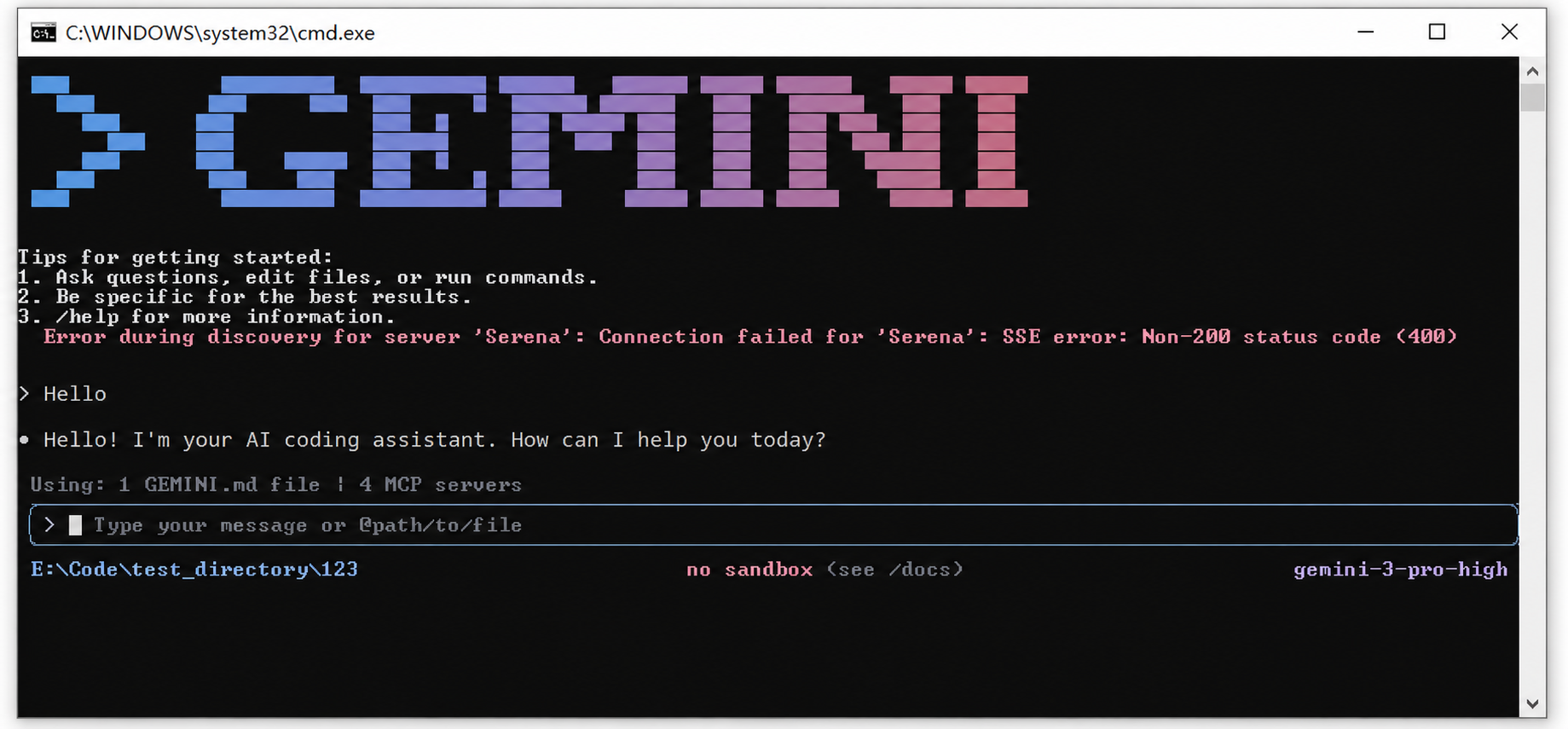 Gemini CLI terminal session after the FH Switch setup succeeds