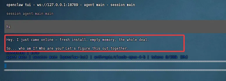 OpenClaw TUI showing a successful test reply